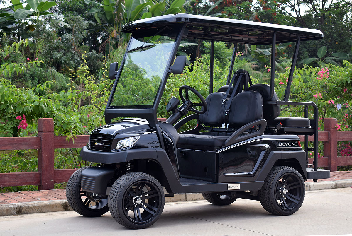 その他 Neighborhood x SRL PS-CART Low Speed Vehicles (LSVs) on Seabrook Island